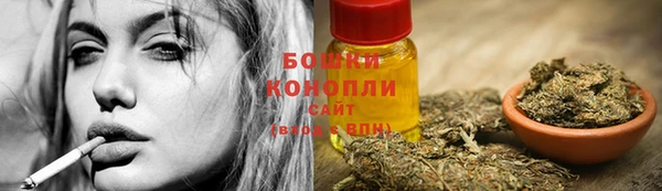 гидра Гусиноозёрск