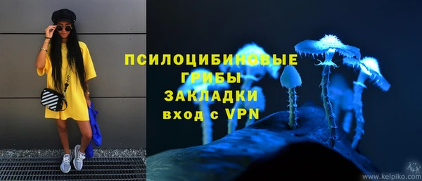 ALPHA-PVP Гусев