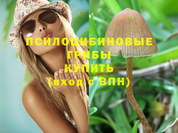 гидра Гусиноозёрск