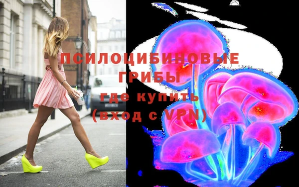 гидра Гусиноозёрск