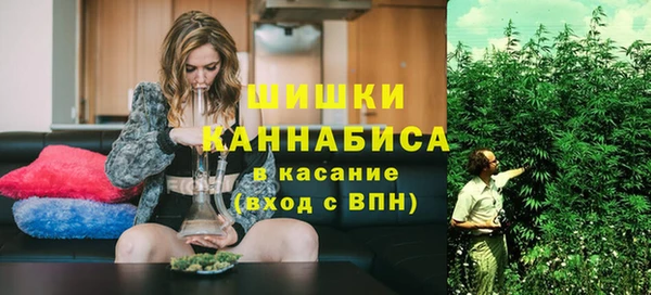 гидра Гусиноозёрск