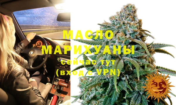 гидра Гусиноозёрск