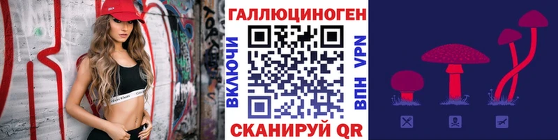 Псилоцибиновые грибы Psilocybine cubensis  Купить где  Терек 