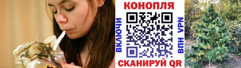 Купить закладки  Терек  МАРИХУАНА планчик 